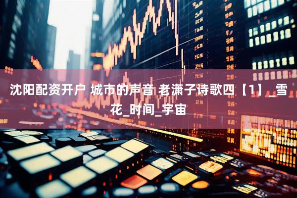 沈阳配资开户 城市的声音 老潇子诗歌四【1】_雪花_时间_宇宙