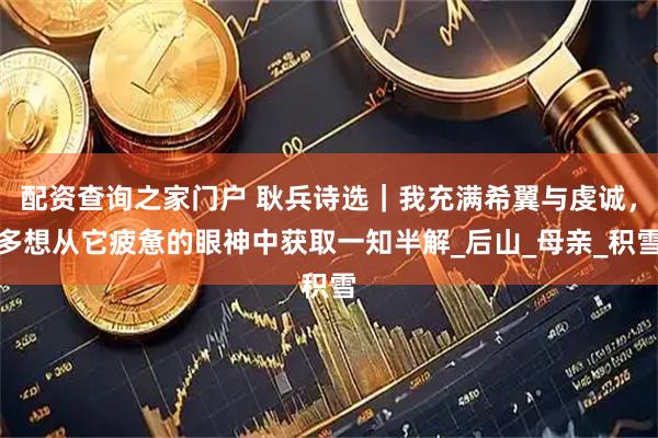 配资查询之家门户 耿兵诗选｜我充满希翼与虔诚，多想从它疲惫的眼神中获取一知半解_后山_母亲_积雪
