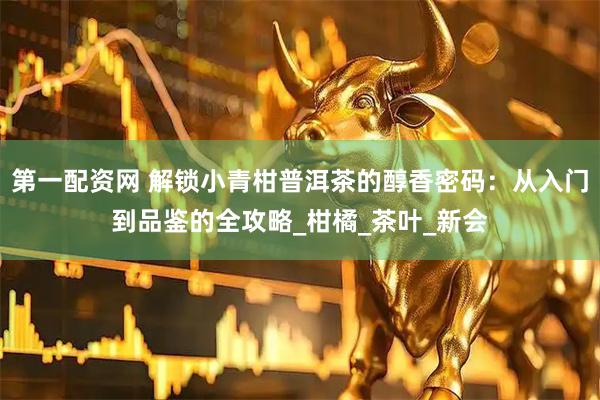 第一配资网 解锁小青柑普洱茶的醇香密码：从入门到品鉴的全攻略_柑橘_茶叶_新会