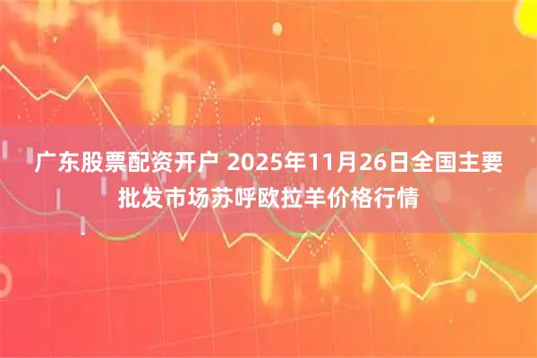 广东股票配资开户 2025年11月26日全国主要批发市场苏呼欧拉羊价格行情