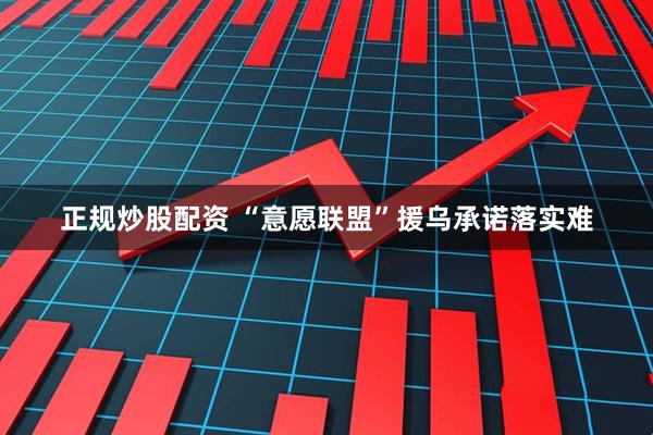 正规炒股配资 “意愿联盟”援乌承诺落实难